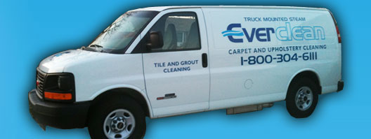 Everclean Carpet Cleaning
